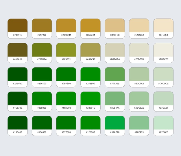 Palette De Couleurs Verte Et Ocre Avec Hexagone