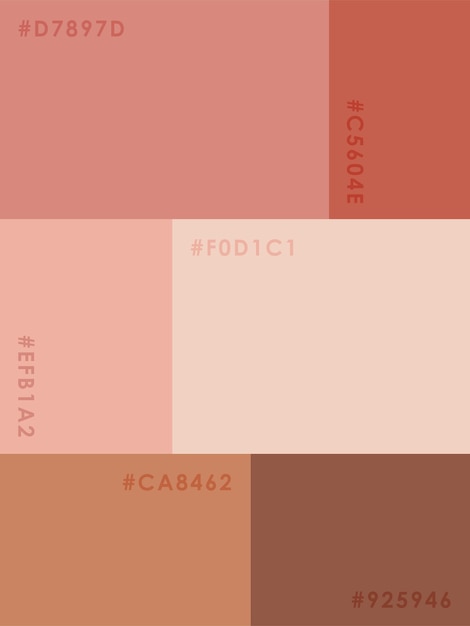 Vecteur palette de couleurs