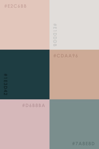 Palette De Couleurs