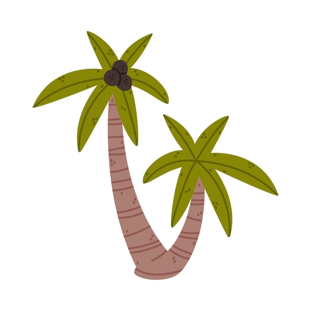 Palmeraie avec tronc et feuilles au sommet poussant dans un parc ou une forêt Illustration vectorielle