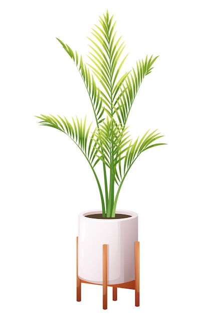 Palmier d'intérieur majestueux palmier dans un pot blanc moderne sur des pattes en bois illustration vectorielle dans le style de dessin animé sur un fond transparent
