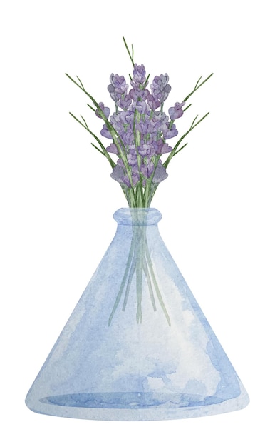 Pampa De Lavande Sèche Aquarelle Dans Un Vase En Verre Bleu