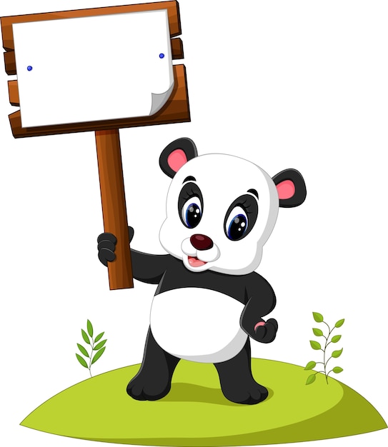 Vecteur panda de dessin animé présentant