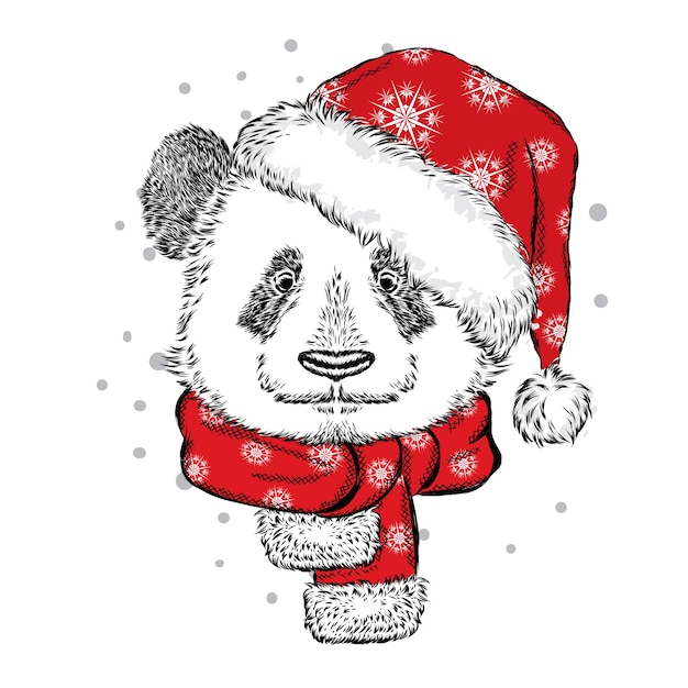 Panda Drôle D'ours Dans Un Chapeau Et Une écharpe De Noël.