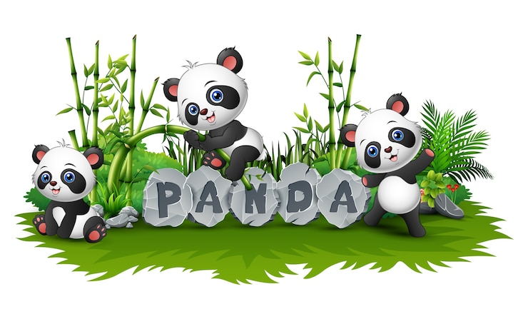 Vecteur panda joue ensemble dans le jardin