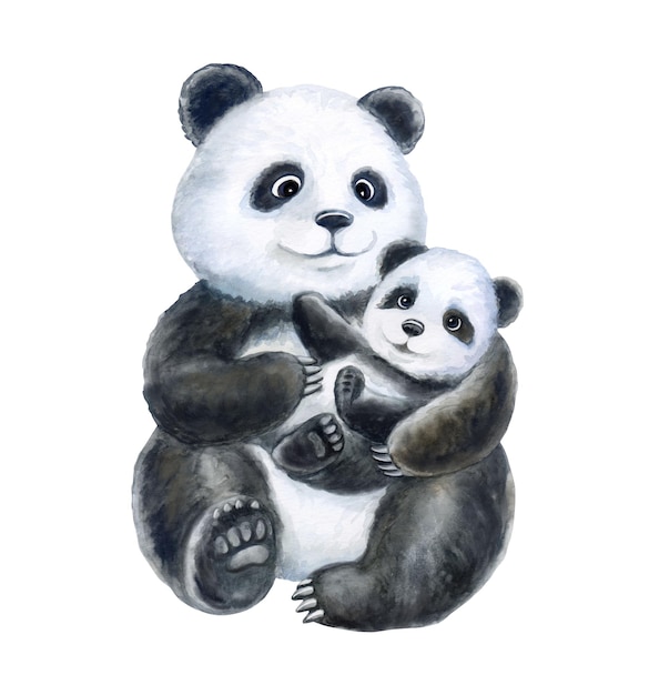 Panda Maman Et Bébé