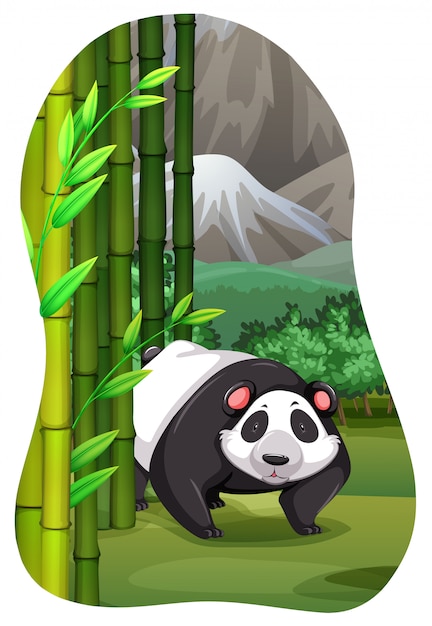 Le panda