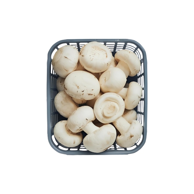un panier de champignons qui a le mot champignons dessus