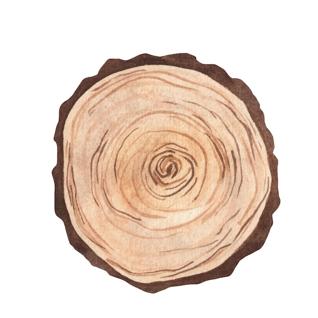 Panneau en bois de tranche de bois avec vieille texture rustique souche en bois illustration aquarelle