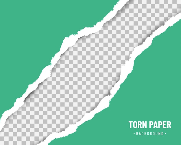 Papier déchiré vert au milieu avec une ombre douce sur fond transparent