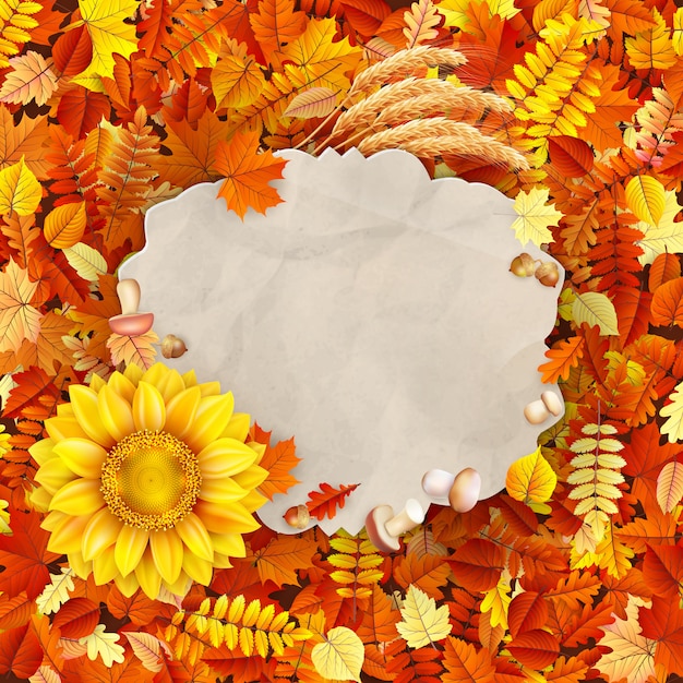 Vecteur papier vintage automne sur l'espace de copie de fond de feuilles colorées.