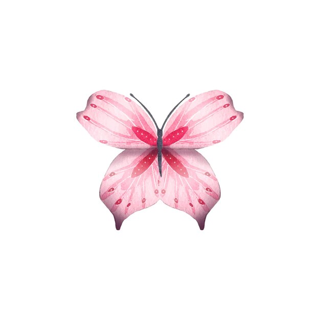 Papillon Abstrait Dessiné à La Main Dans Des Tons Roses Aquarelle