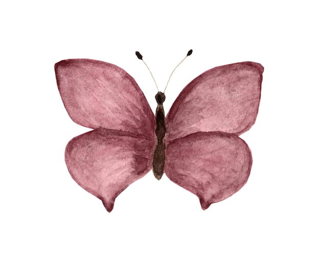 Papillon aquarelle rose