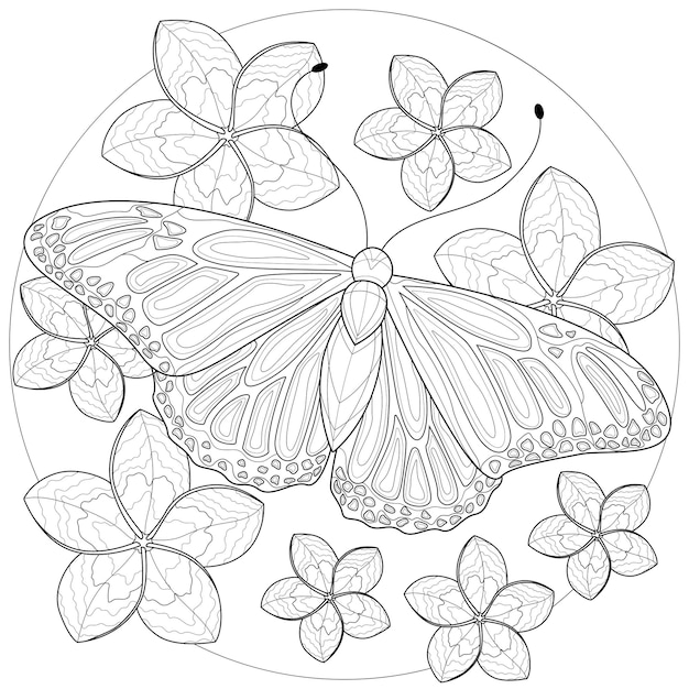 Papillon Avec Des Fleurs Autour. Livre De Coloriage Antistress Pour Enfants Et Adultes. Dessin En Noir Et Blanc. Style Zen-tangle.