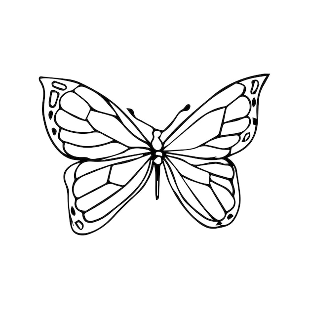 Papillon avec icône de bande. Illustration de contour du papillon avec l'icône de vecteur de bande pour le web