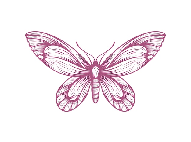 papillon icône symbole illustration vectorielle