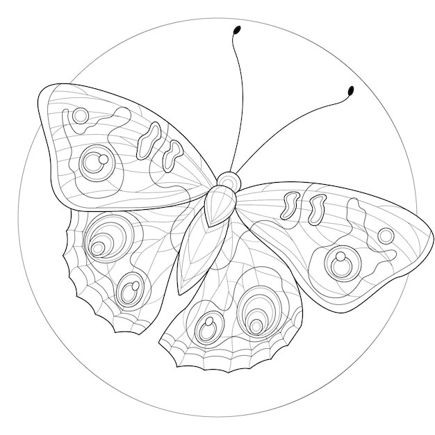 Papillon.livre De Coloriage Antistress Pour Enfants Et Adultes. Style Zen-enchevêtrement. Dessin Noir Et Blanc.