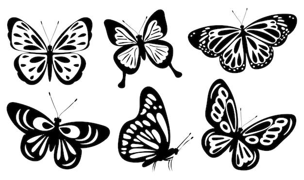 Papillon Noir Et Blanc Silhouette