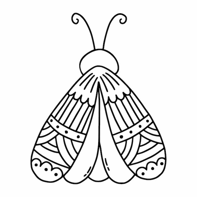 Vecteur papillon de nuit avec ornement sur l'aile papillon de nuit dans le style doodle livre de coloriage anti stress