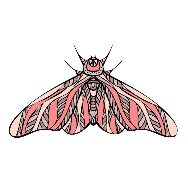 Papillon de nuit papillon Illustration vectorielle dessinés à la main