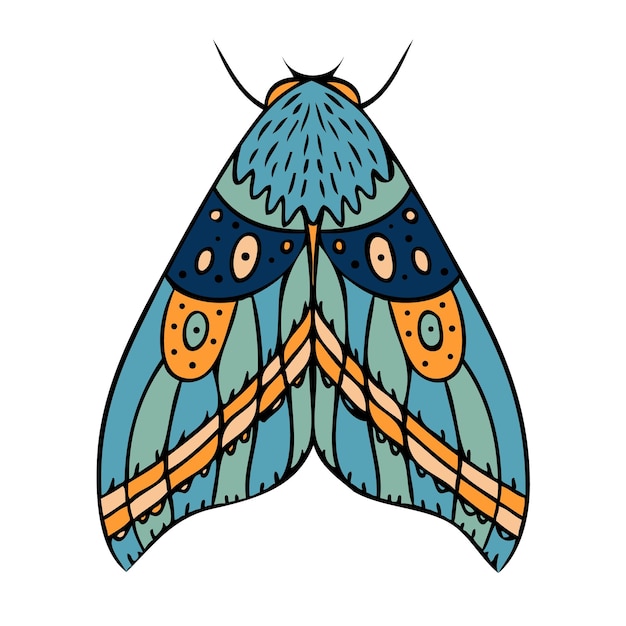 Papillon De Nuit Papillon Illustration Vectorielle Dessinés à La Main