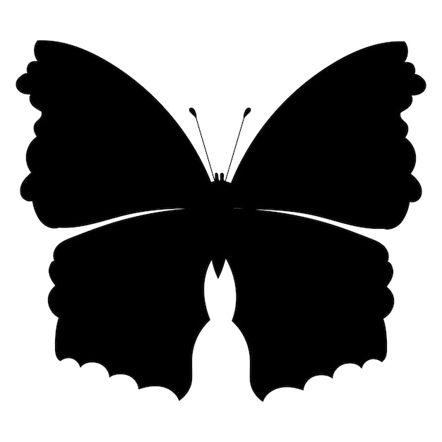 Vecteur papillon de silhouette noire isolée de vecteur