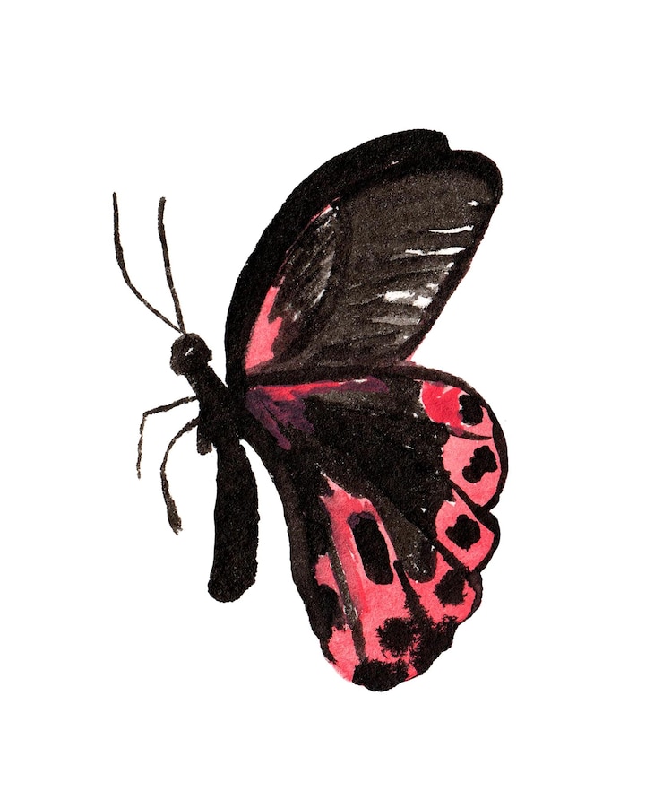Vecteur papillon tropical