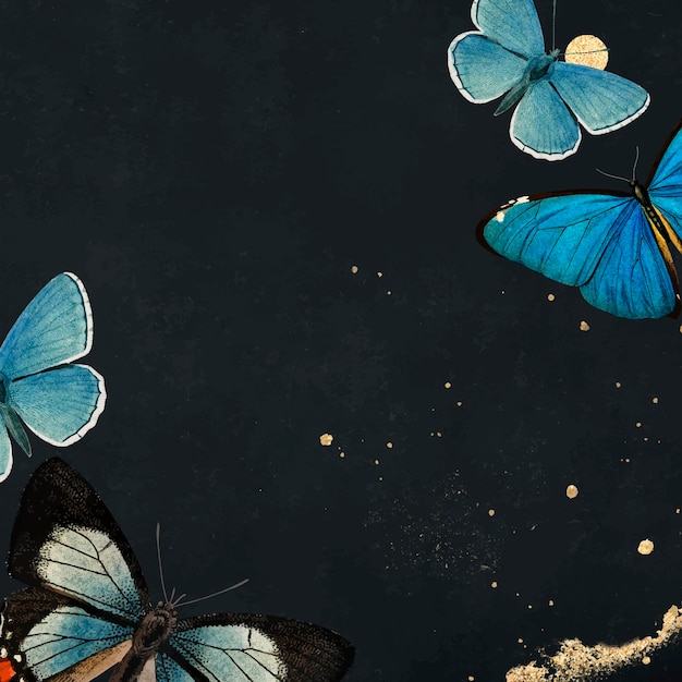 Papillons bleus à motifs sur fond noir vecteur