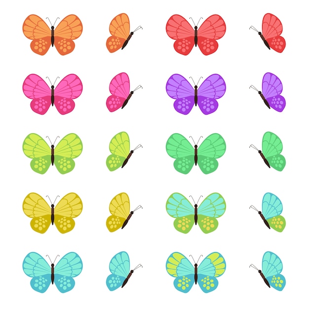 Papillons Colorés Isolés Sur Fond Blanc