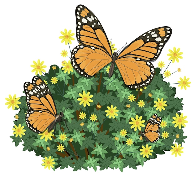 Des papillons monarques se reposent sur un buisson de fleurs jaunes