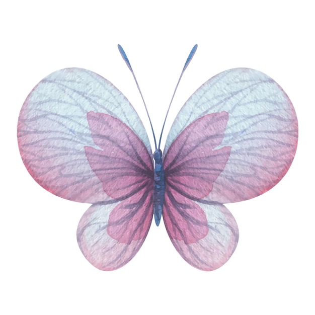 Vecteur les papillons sont de couleur rose bleu lilas volant délicat avec des ailes illustration à l'aquarelle dessinée à la main isolée