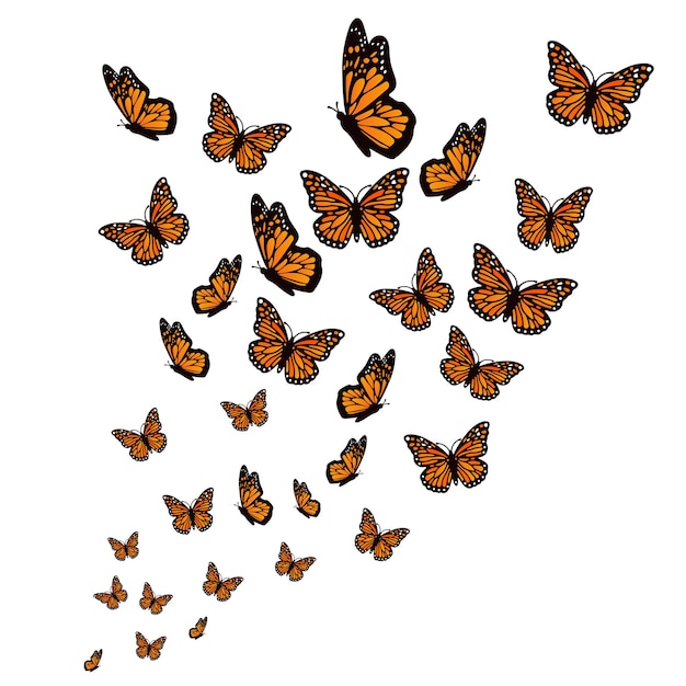 Papillons volant à fond