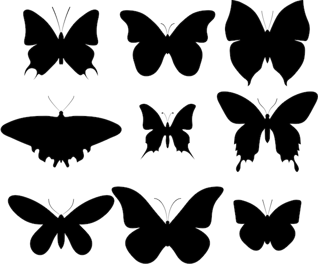 Papillons