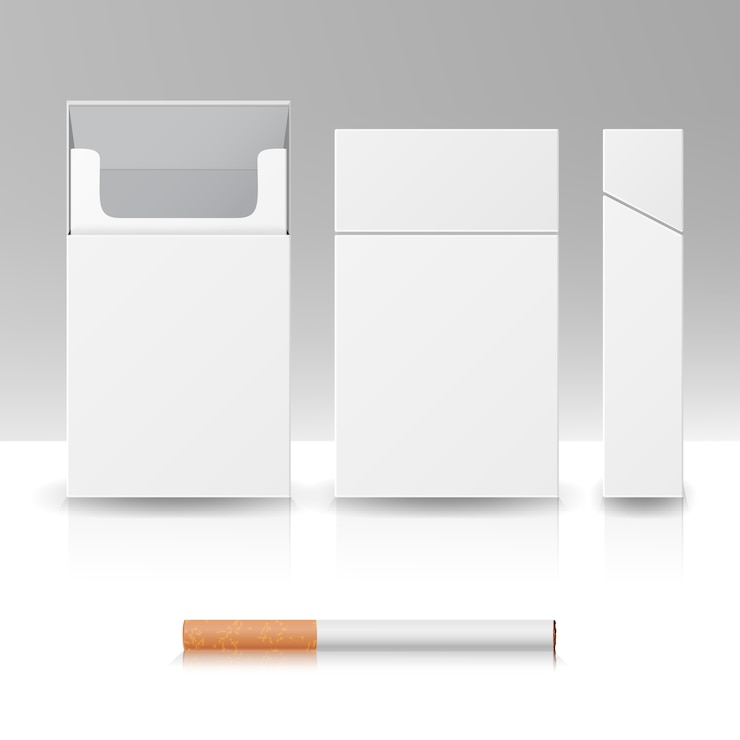 Vecteur paquet blanc paquet boîte de cigarettes