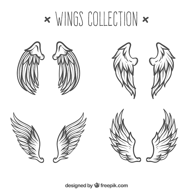 Vecteur paquet de croquis d'ailes d'anges