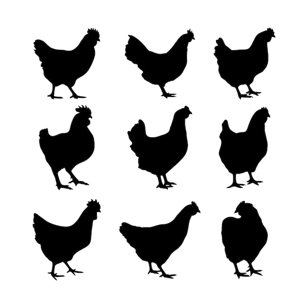 Vecteur paquet d'illustrations vectorielles de silhouettes de poulet ou de poule