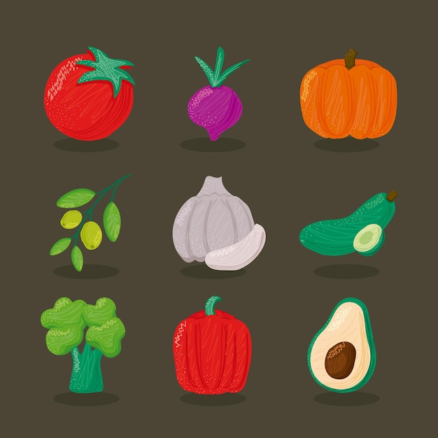 Paquet de neuf légumes illustration d'icônes d'aliments sains