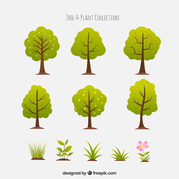 Paquet de six arbres et de belles plantes