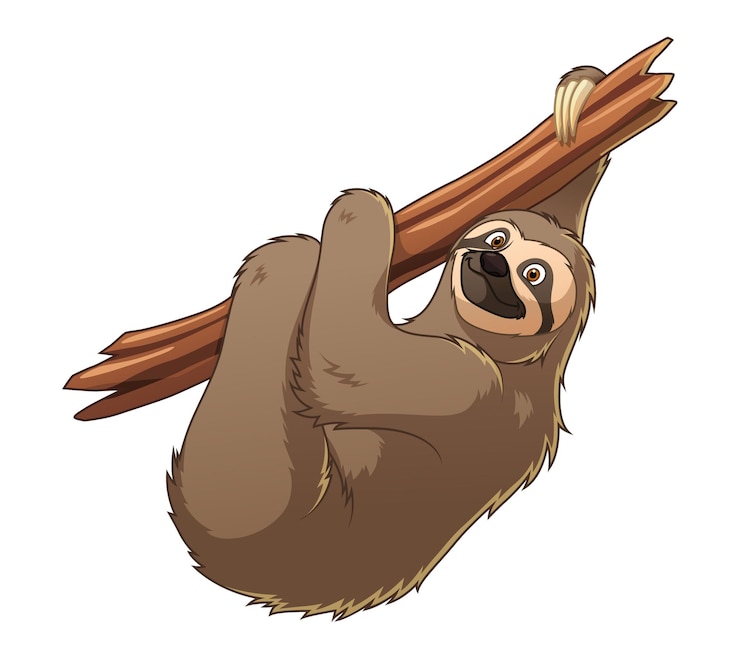 Vecteur paresseux, dessin animé, animal, illustration