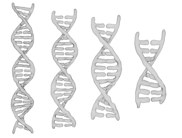 Partie vectorielle du style abstrait triangulaire de l'adn humain 3d