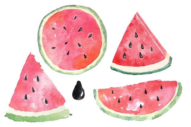 Pastèque Peinte à L'aquarelletranches De Pastèquefruits Rafraîchissants Pour L'été