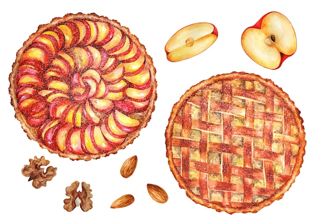 Pâtes Aux Prunes Et Tartes Aux Pommes Américaines Illustration à L'aquarelle Dessinée à La Main