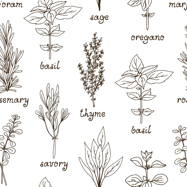 Vecteur patrons d'herbes et d'épices vecteurs d'arrière-plan sans couture