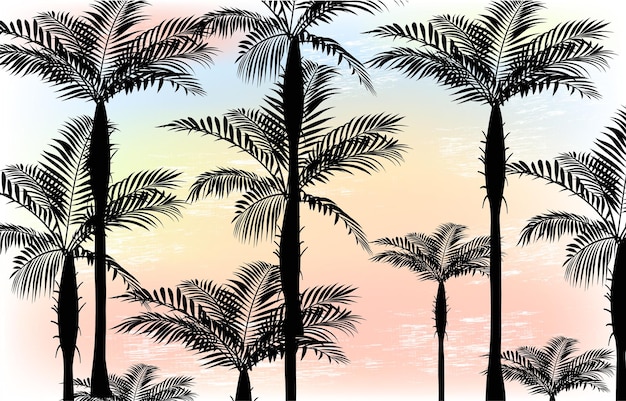 Pattern Sans Couture Avec Des Silhouettes De Palmiers Affiche Avec Des Arbres Tropicaux Et Un Ciel Multicolore