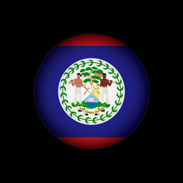 Pays Belize Drapeau Du Belize Illustration Vectorielle