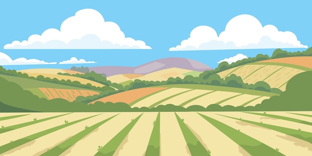 Paysage agricole champs agricoles paysage de scène rurale