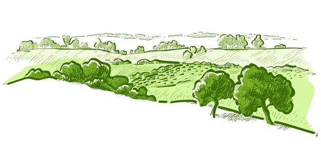 Vecteur paysage de champ vert à l'aquarelle sur une petite colline vector prairie herbe nature ferme paysage rural