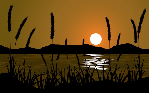 Vecteur paysage coucher de soleil silhouette herbe avec lac