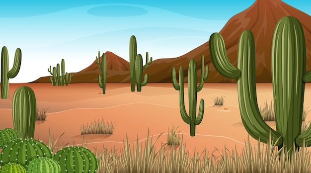 Paysage De Forêt Désertique à La Scène De Jour Avec De Nombreux Cactus