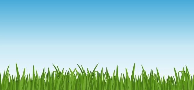 Vecteur paysage avec de l'herbe verte sur le fond de ciel bleu. feuilles d'herbe et pelouse au premier plan.